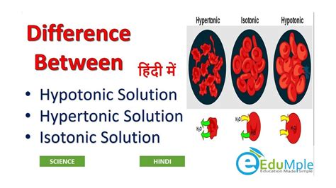 Explain The Difference Between Isotonic Hypotonic And Hypertonic Solutions