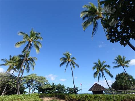 Kauna'oa Bay (Kohala Coast) - 2021 All You Need to Know BEFORE You Go ...