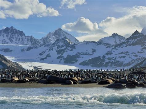 Antarctica small ship cruises | Responsible Travel