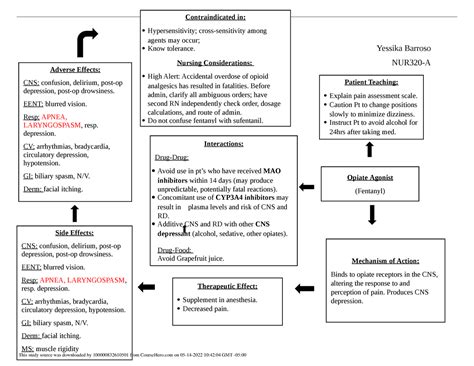 Concept Map For Fundamentals Of Nursing Yessika Barroso Nur A