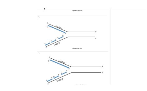 Solved Question 4 1 Pts Which Of The Following Diagrams Is A