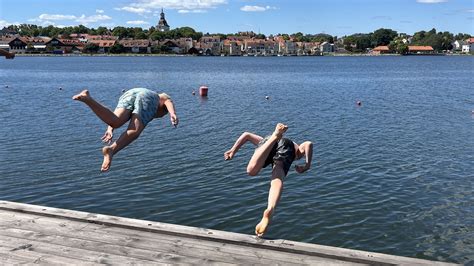 Nu Blommar Det I Stersj N Barn Och Hundar Varnas P Blekinge