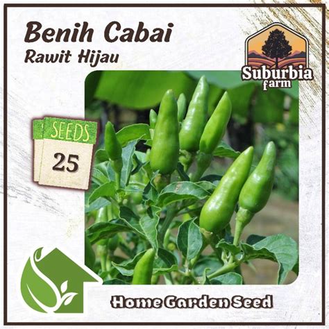 Jual Biji Benih Cabai Rawit Hijau Bibit Cabe Rawit Dataran Rendah