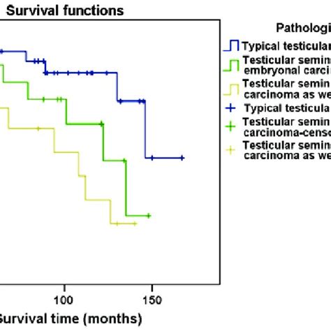 Survival Curve For 58 Testicular Seminoma Patients After Orchiectomy