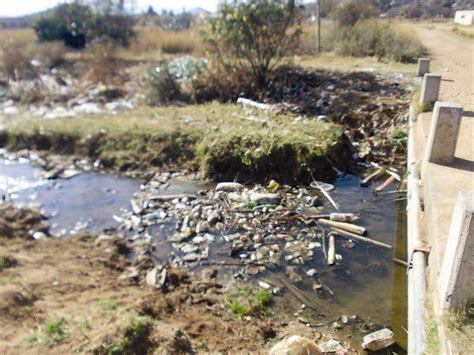 Wetlands Health Crucial To People Review