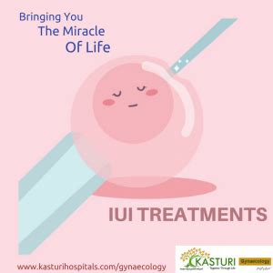 Intrauterine Insemination Iui Iui Service Intrauterine Insemination