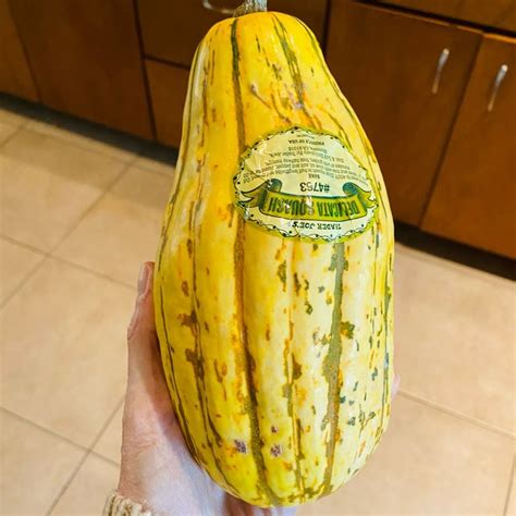 Trader Joe S Delicata Squash Review Abillion