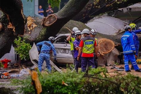 Pokok Tumbang Di Jalan Sultan Ismail Seorang Maut Seorang Lagi Cedera