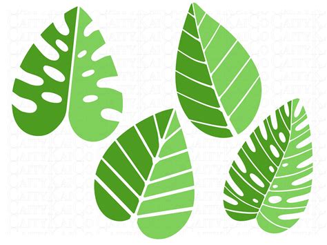 Tropical Leaves Svg Bundle Of 20 Tropical Leaf Svg Monstera Etsy