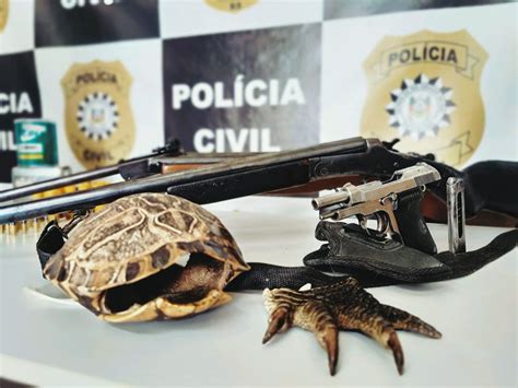 Pol Cia Civil Desencadeia Opera O Contra A Ca A Ilegal De Animais