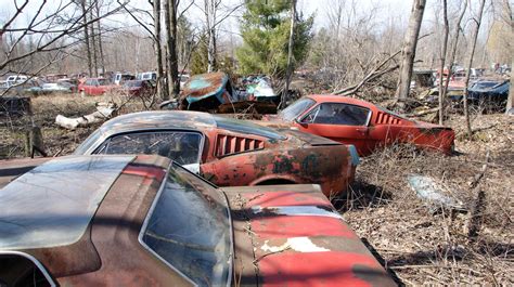 Michigan Junkyard Turns Up Some Buried Muscle Car Treasure