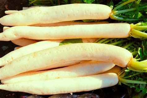 5 Benefits of Daikon Radish (and Full Nutritional Values) - Nutrition ...