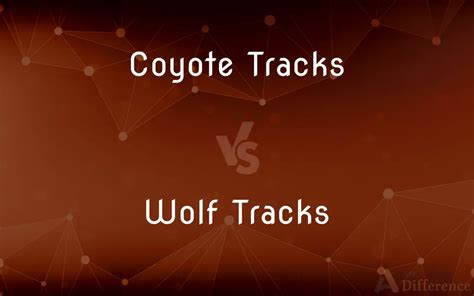 Coyote Tracks vs. Wolf Tracks — What’s the Difference?