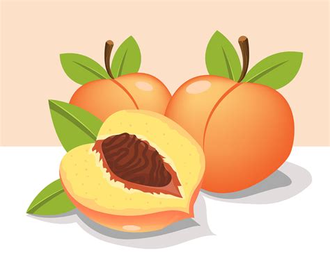 Peach Vector Art Graphics Freevector