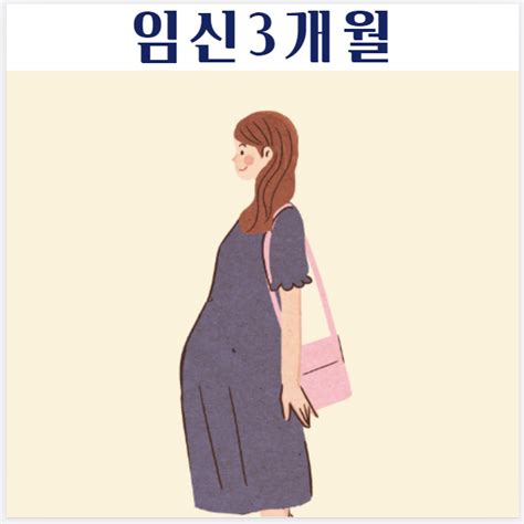 임산부 임신 3개월 10주 1112주 증상 감정기복 태아상태 알아보기 네이버 블로그