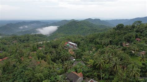 Drone View Desa Di Selatan Tasikmalaya Keindahan Pedesaan Jawa Barat