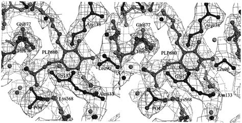 Stereo Diagram Of The Electron Density From The Final 2 F O F C Map Download Scientific