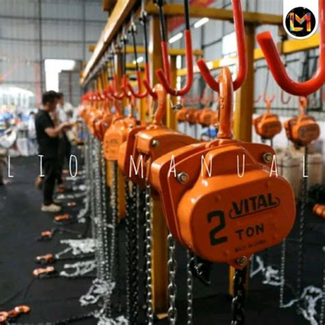 Jual Chain Block 2 Ton X 3 Meter Takel Hain Chain Hoist VITAL VP5 VITAL