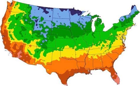 Usda Zones Proven Winners Colorchoice Flowering Shrubs