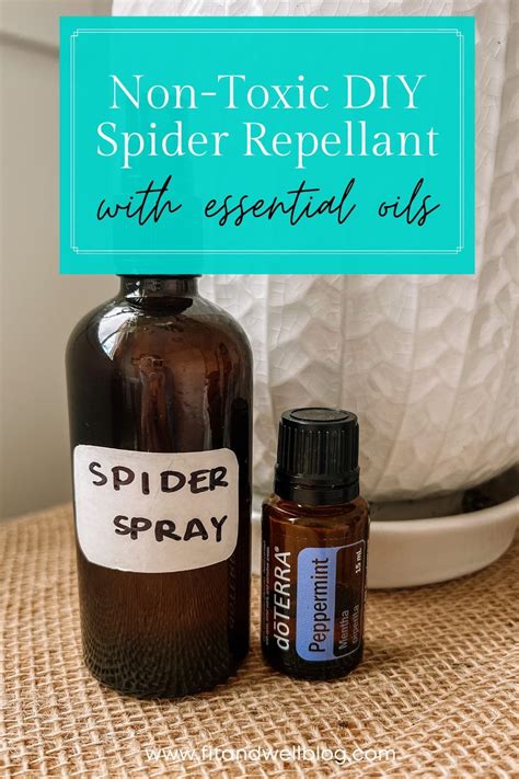 How To Make A Natural Spider Repellent Two Steps Artofit