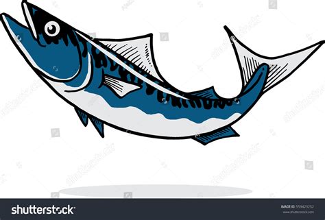 Mackerel Fish Drawing Illustration Stock Vector Royalty Free