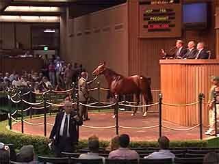 Keeneland Sales: video, popular tourist places, Satellite map ...