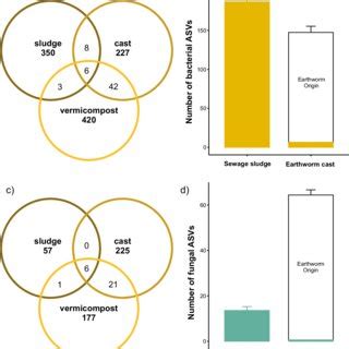 Changes In Richness And Diversity Of Bacteria And Fungi During