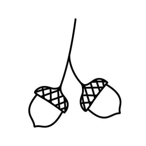 Acorn Black And White Clipart