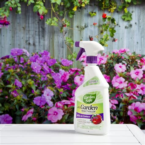 Insecticides For Plants