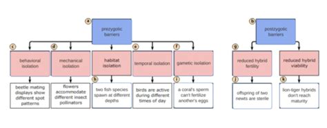 Ap Bio Ch 24 The Origin Of Species Flashcards Quizlet