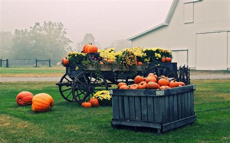 Harvest Desktop Wallpaper 51 Images