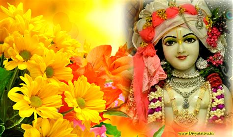 Lord Krishna PC Wallpapers Wallpaper Cave