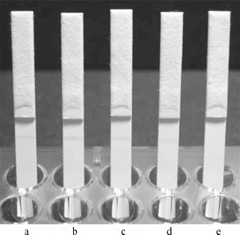 Sensitivity Test Of Gold Colloidal Immunochromatographic Strip Using Download Scientific