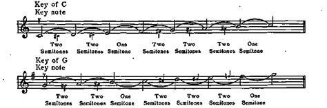 New Method For Tenor Banjo Online Tutorial P0110