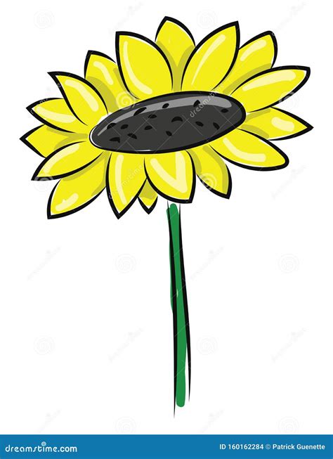 Dibujo De Dibujos Animados De Hermosos Girasoles Vectores O