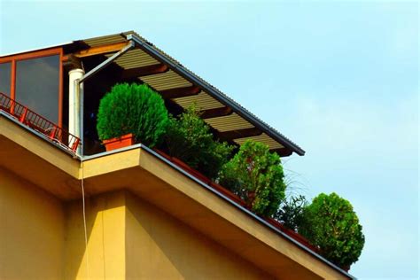 Piante Mangia Smog Purifica L Aria Del Tuo Balcone Con Queste Variet