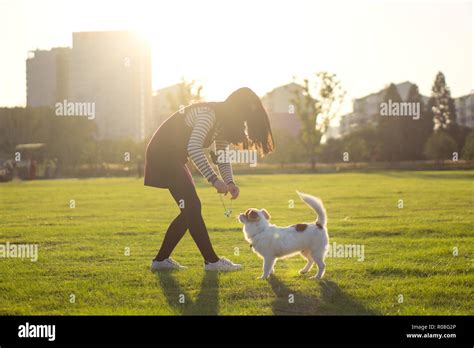 Dog And Hostess Park Background Stock Photo Alamy
