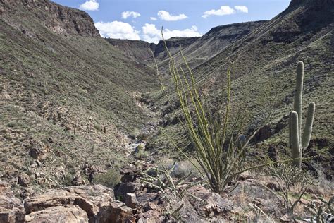 Agua Fria National Monument | Bureau of Land Management