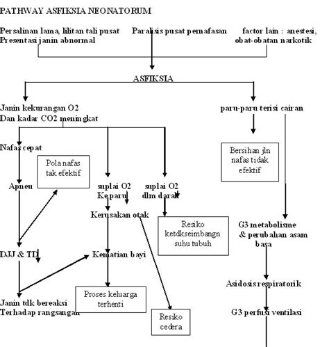 Pathway Ikterik Neonatus