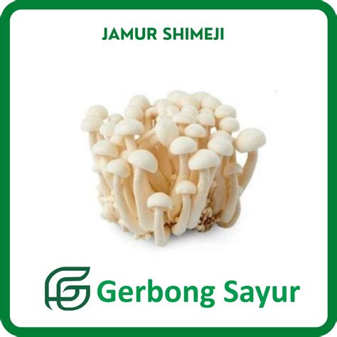 Jual Jamur Shimeji Segar 100g Shopee Indonesia