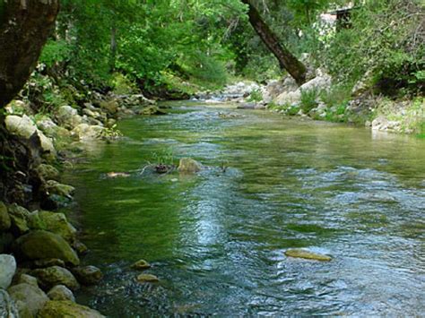 Acqua Chiodi Firma Delibera Per Attingimento Da Fiume Trigno Cronaca