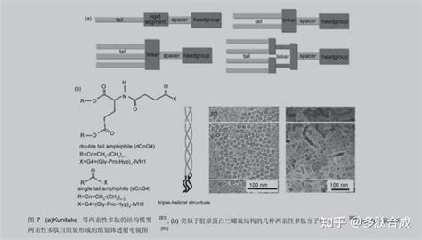 基于两亲性分子结构的多肽自组装 知乎