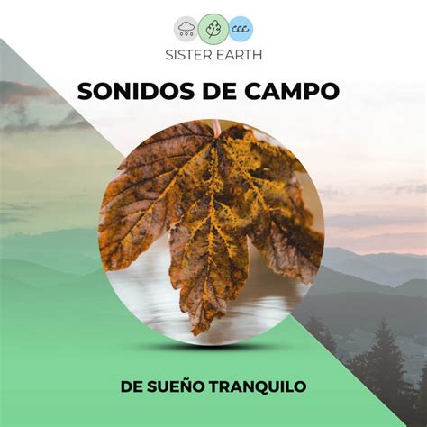 Hábitat Zen música e letra de Naturaleza Sonidos Spotify