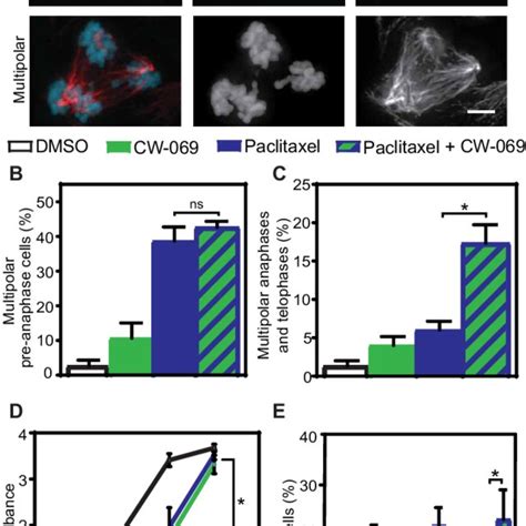 Elevating The Incidence Of Multipolar Divisions In Paclitaxel Via Hset