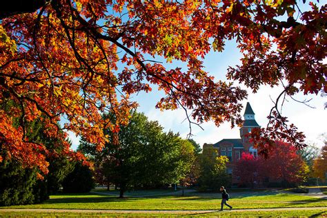 Autumn On Michigan State Campus Photograph By John Mcgraw