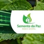 R Dio Semente Da Paz Radiosaovivo Online