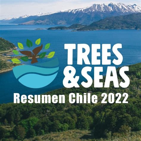 [Video] Plastic Oceans Chile en LinkedIn: Resumen Festival Trees & Seas ... 