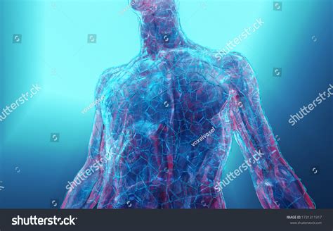 6 109 Glass Human Body Part 图片、库存照片和矢量图 Shutterstock