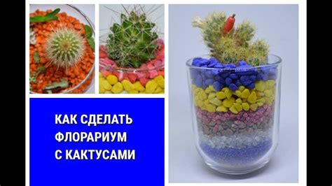# Флорариум Композиции с кактусами - YouTube