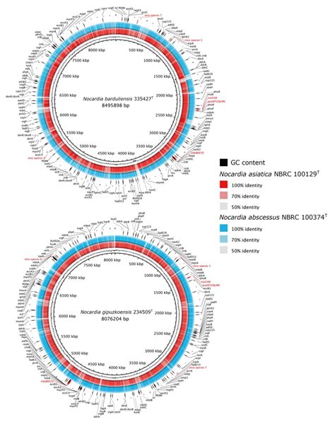 Comparative Genomic Map Of The Pathogenicity Genes Of Isolates 335427 T